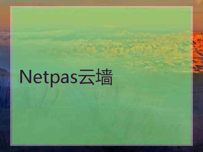 Netpas云墙