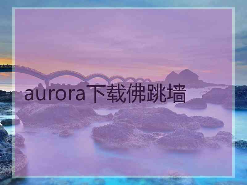 aurora下载佛跳墙