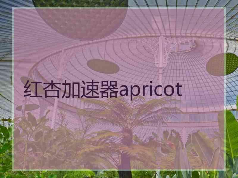 红杏加速器apricot