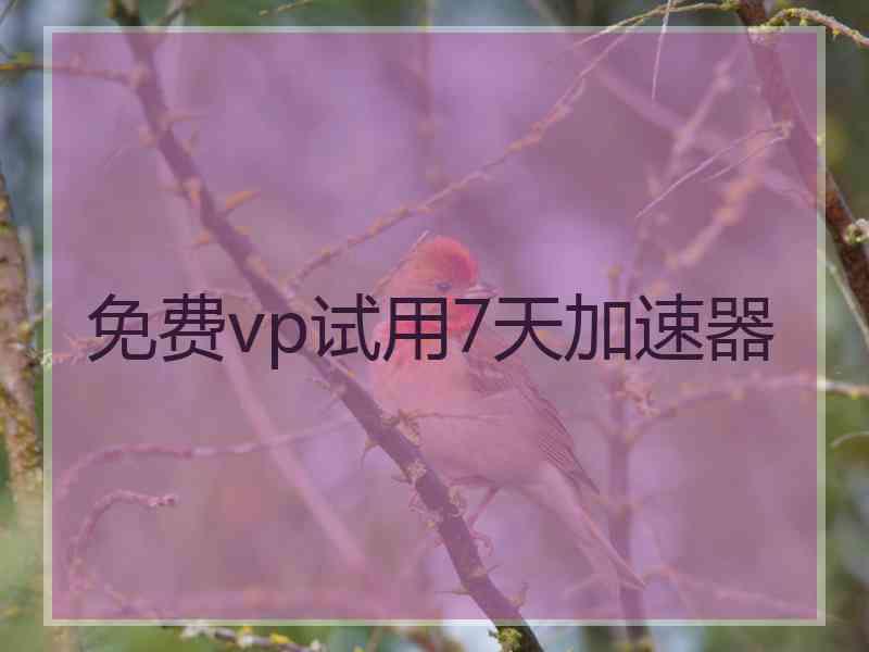 免费vp试用7天加速器