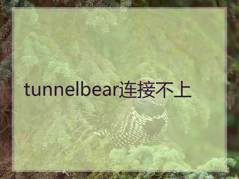 tunnelbear连接不上