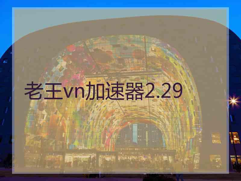 老王vn加速器2.29