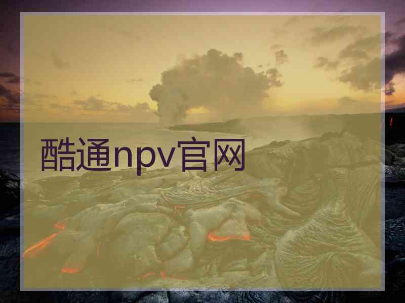 酷通npv官网