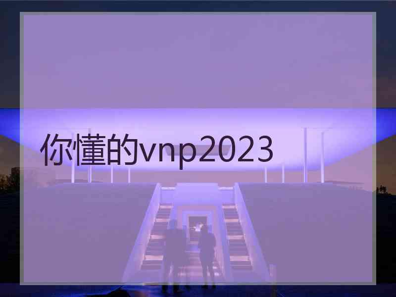 你懂的vnp2023