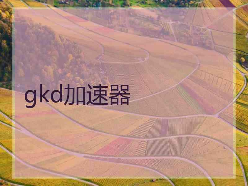 gkd加速器