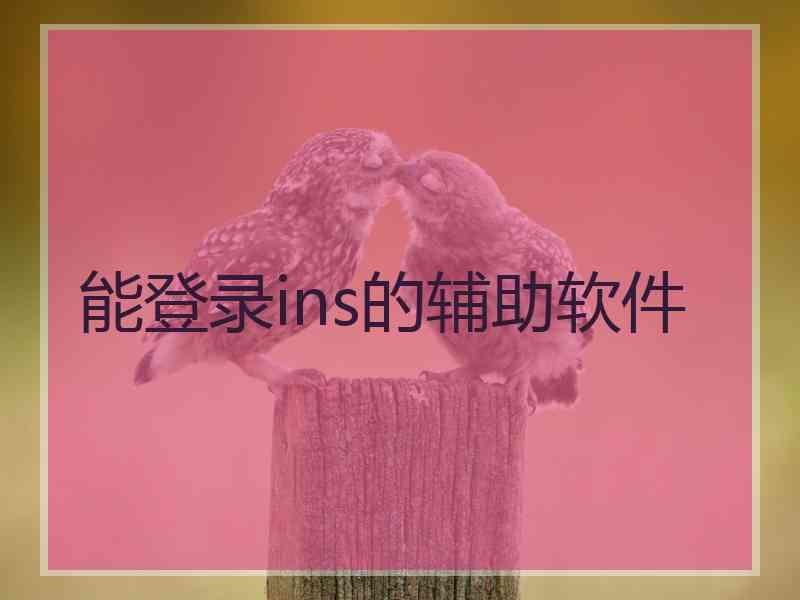 能登录ins的辅助软件