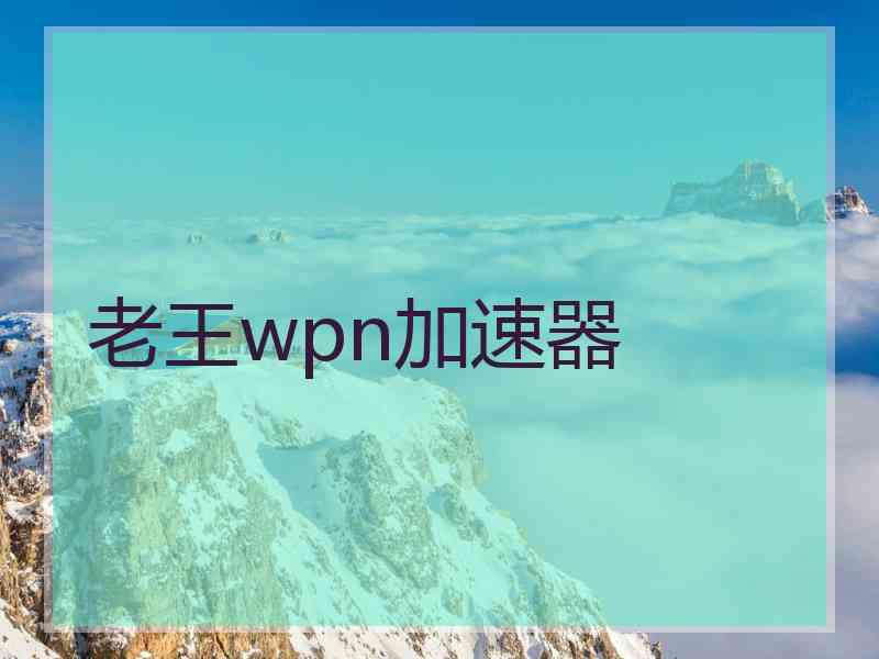 老王wpn加速器