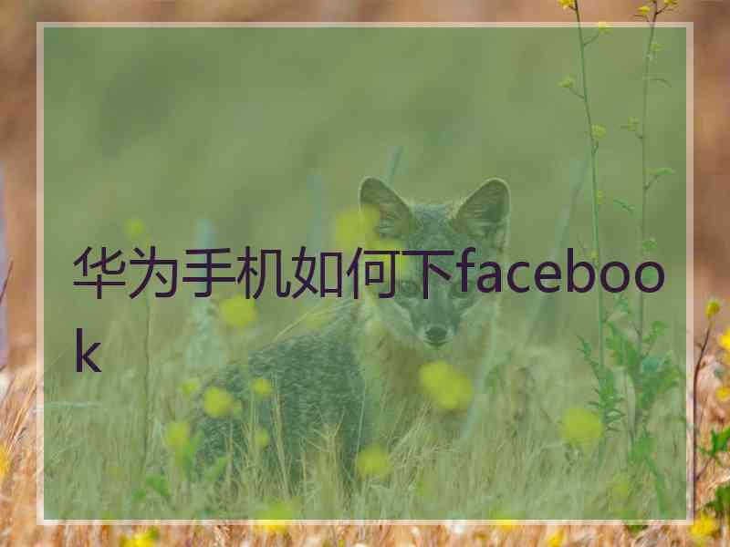 华为手机如何下facebook