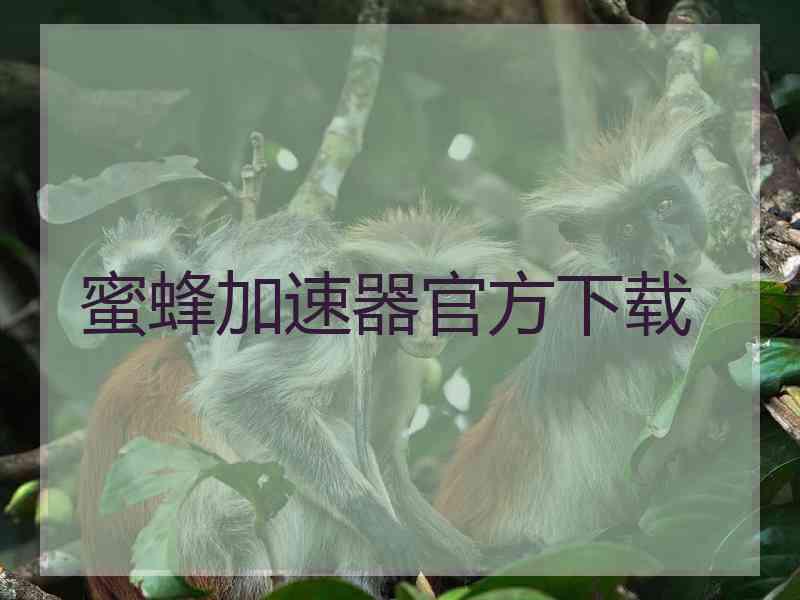 蜜蜂加速器官方下载