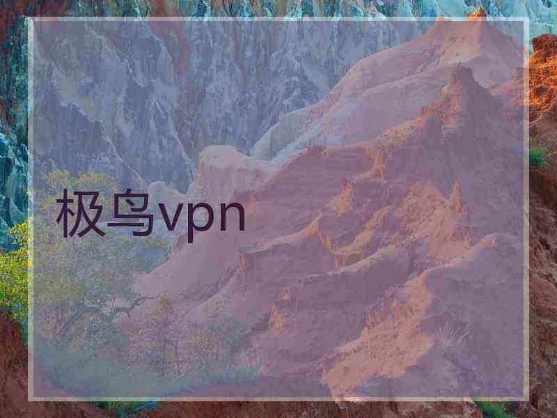 极鸟vpn