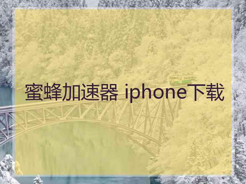 蜜蜂加速器 iphone下载