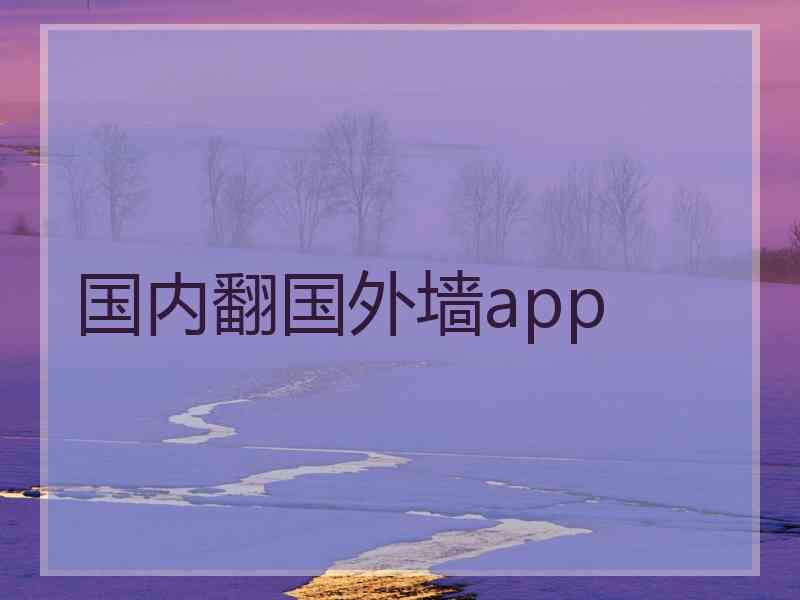 国内翻国外墙app