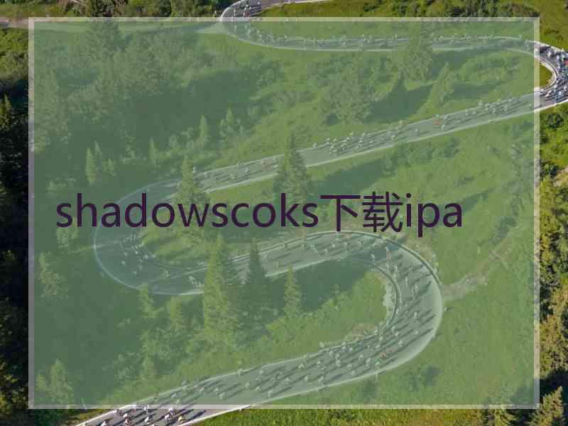 shadowscoks下载ipa