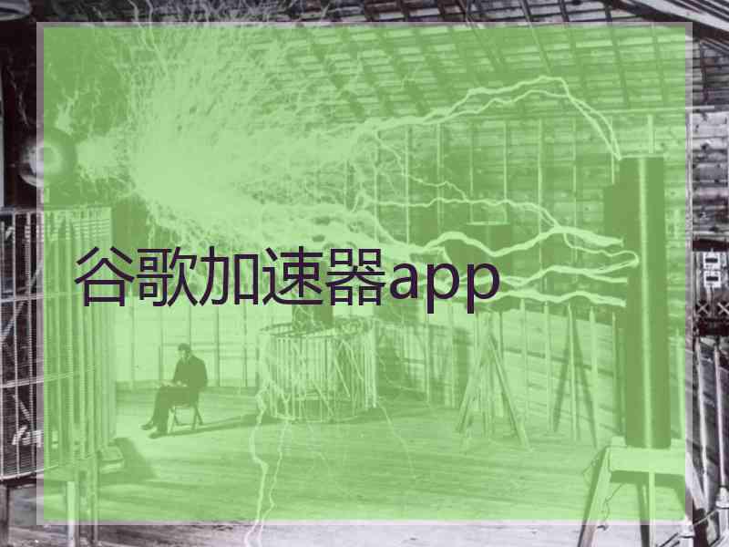 谷歌加速器app