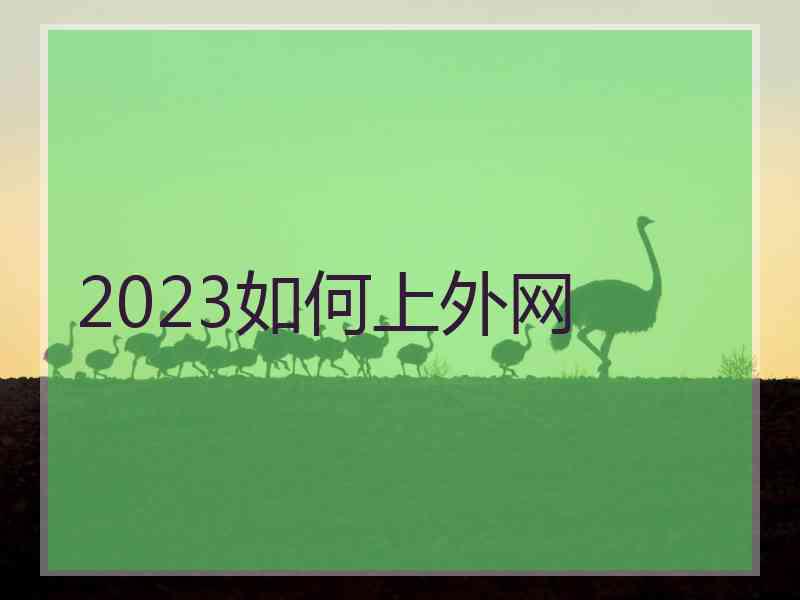 2023如何上外网