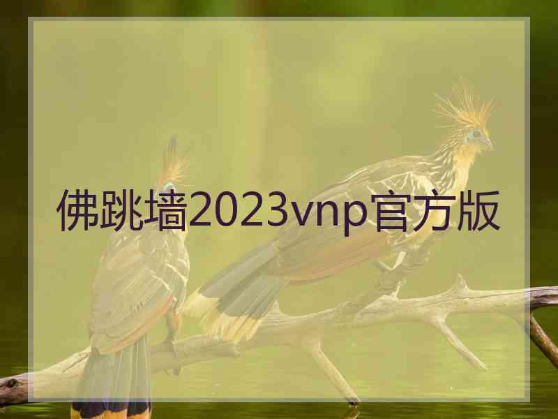 佛跳墙2023vnp官方版