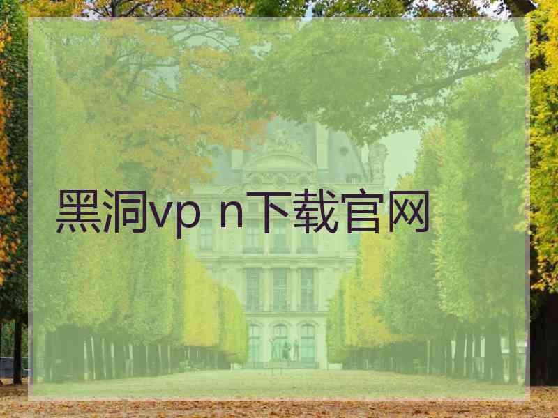 黑洞vp n下载官网