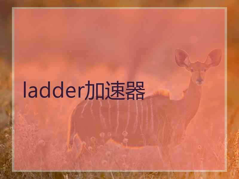 ladder加速器