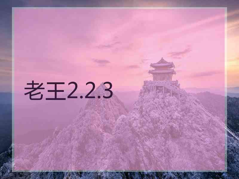 老王2.2.3