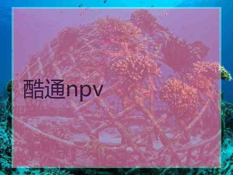 酷通npv