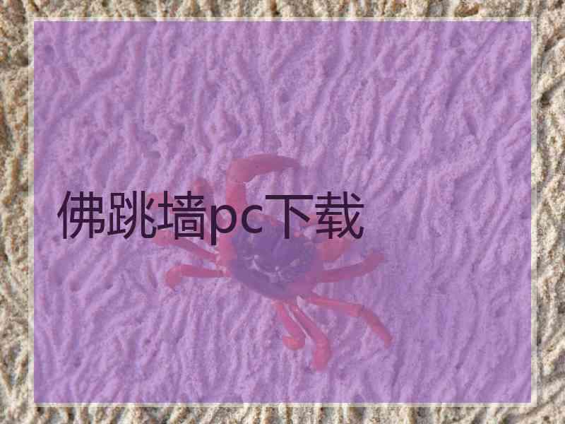 佛跳墙pc下载