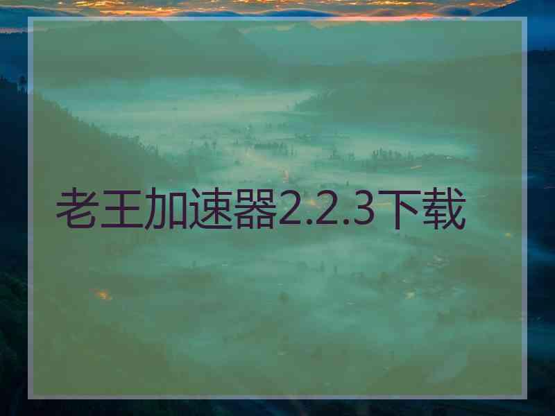 老王加速器2.2.3下载