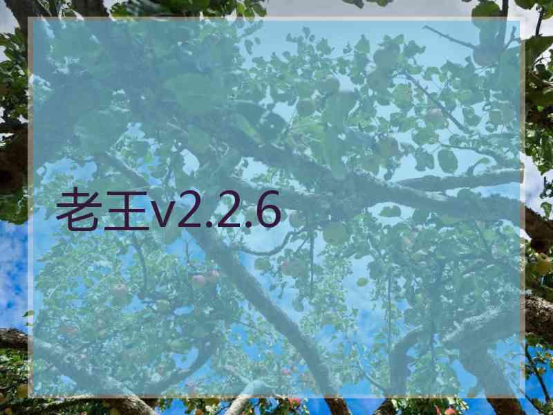 老王v2.2.6