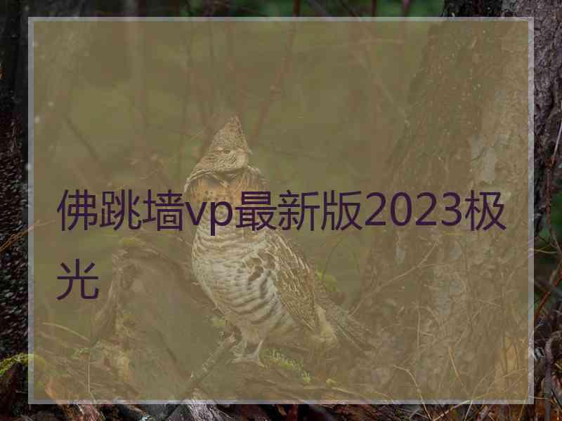 佛跳墙vp最新版2023极光