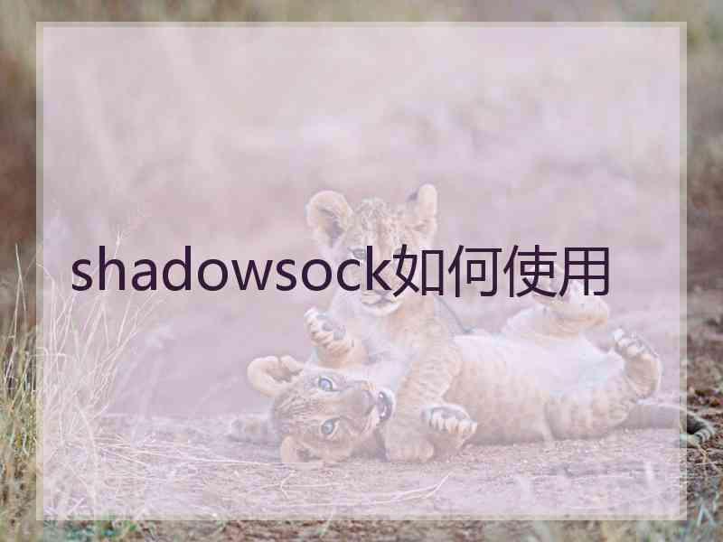 shadowsock如何使用