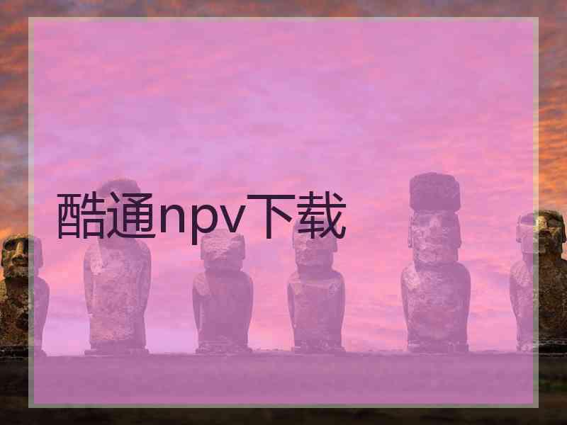 酷通npv下载