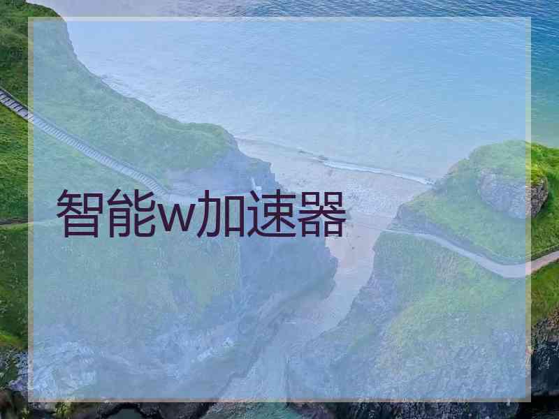 智能w加速器