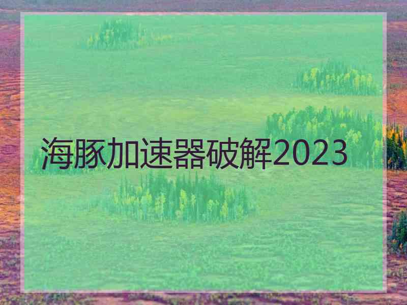 海豚加速器破解2023