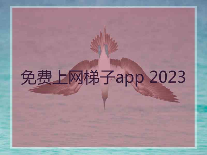 免费上网梯子app 2023