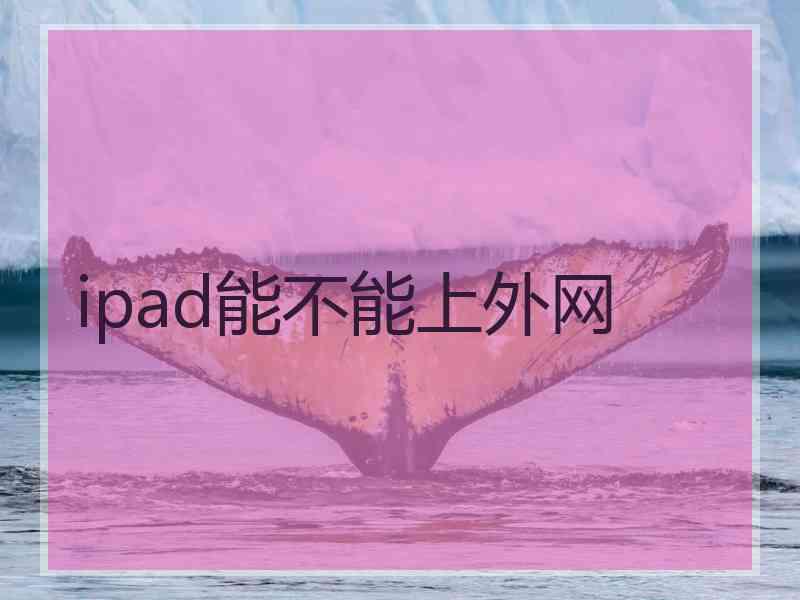 ipad能不能上外网