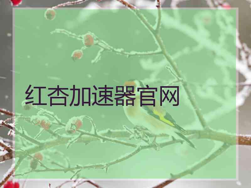 红杏加速器官网