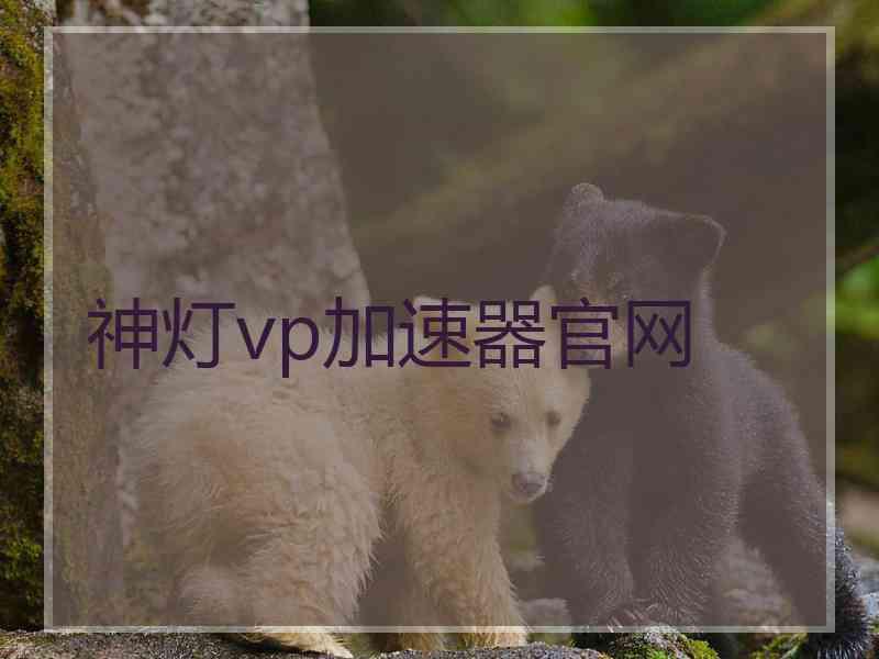 神灯vp加速器官网