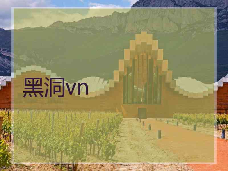 黑洞vn