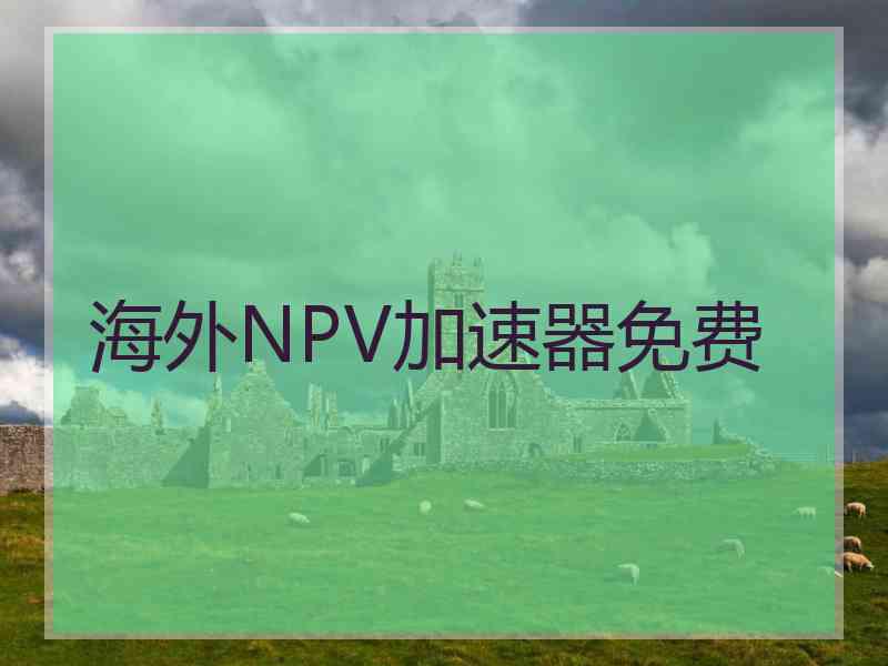 海外NPV加速器免费