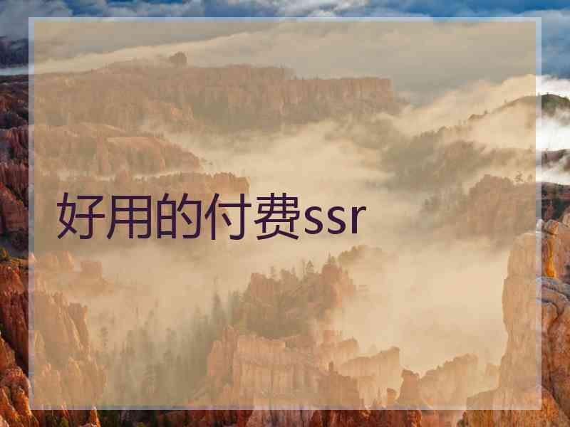 好用的付费ssr