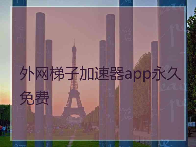 外网梯子加速器app永久免费