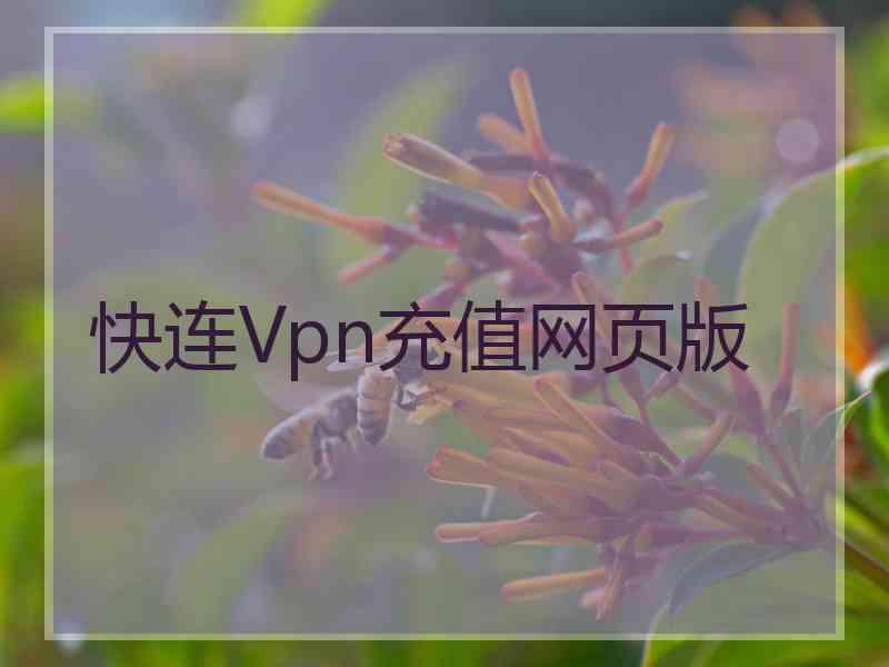 快连Vpn充值网页版