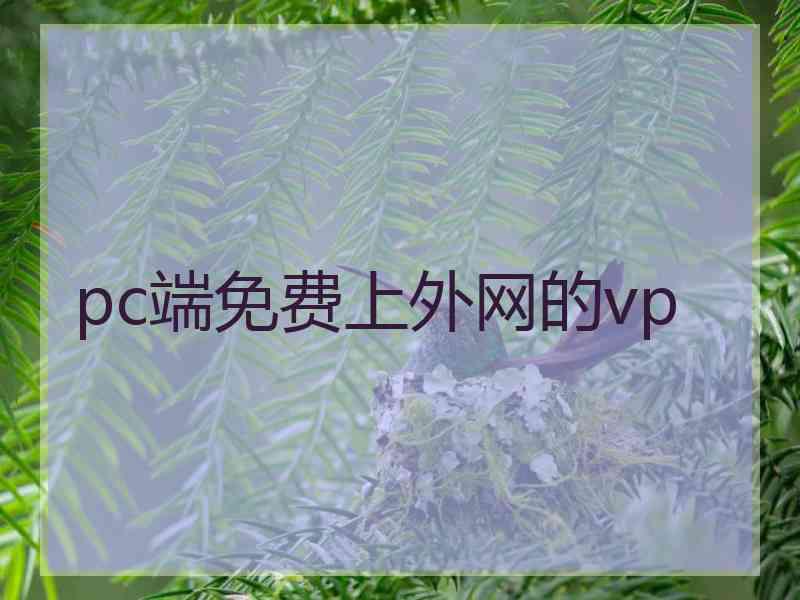 pc端免费上外网的vp