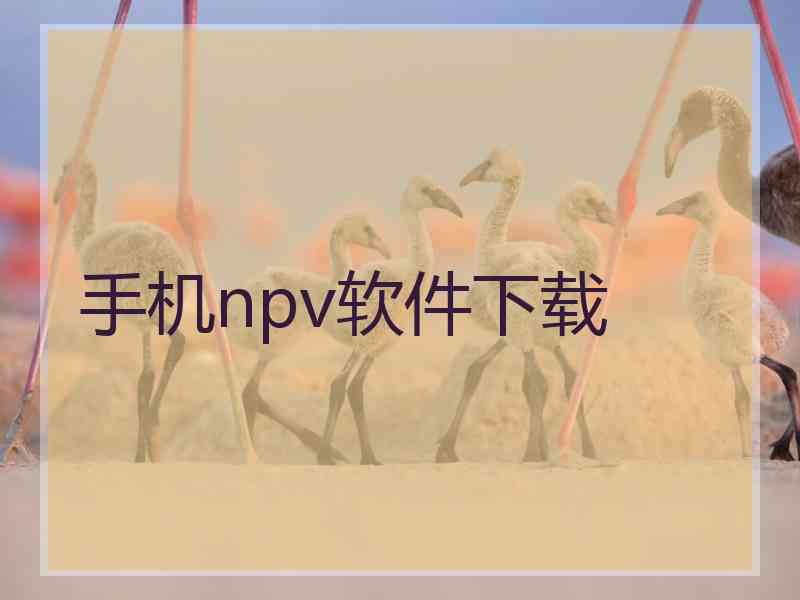 手机npv软件下载