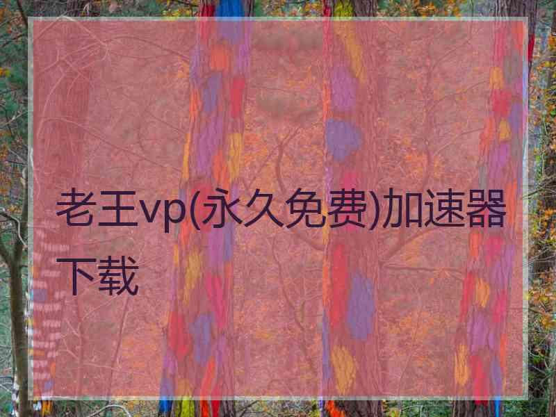 老王vp(永久免费)加速器下载