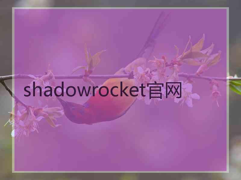 shadowrocket官网