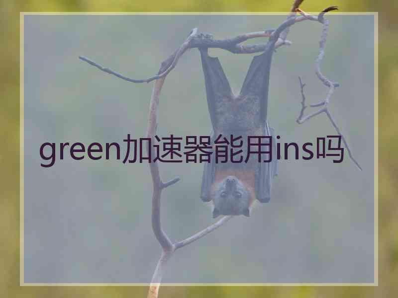 green加速器能用ins吗