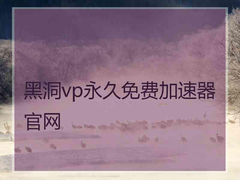 黑洞vp永久免费加速器官网