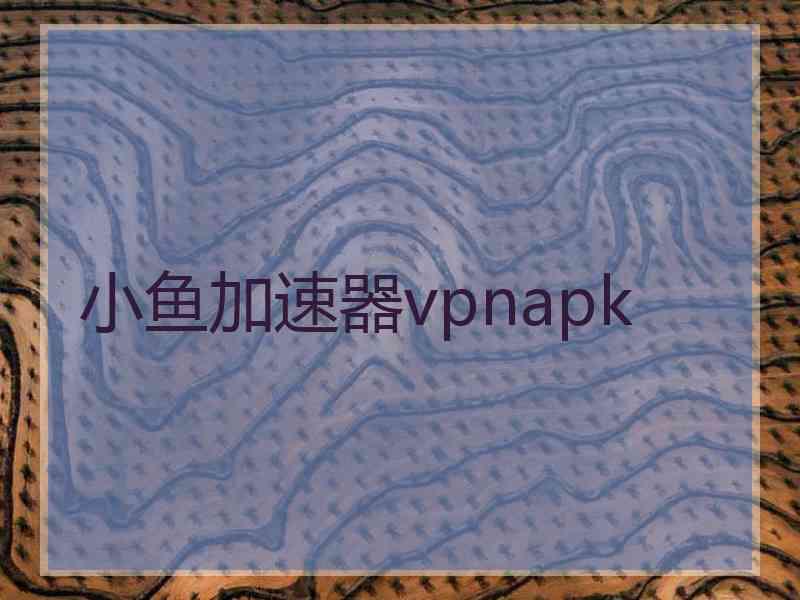 小鱼加速器vpnapk