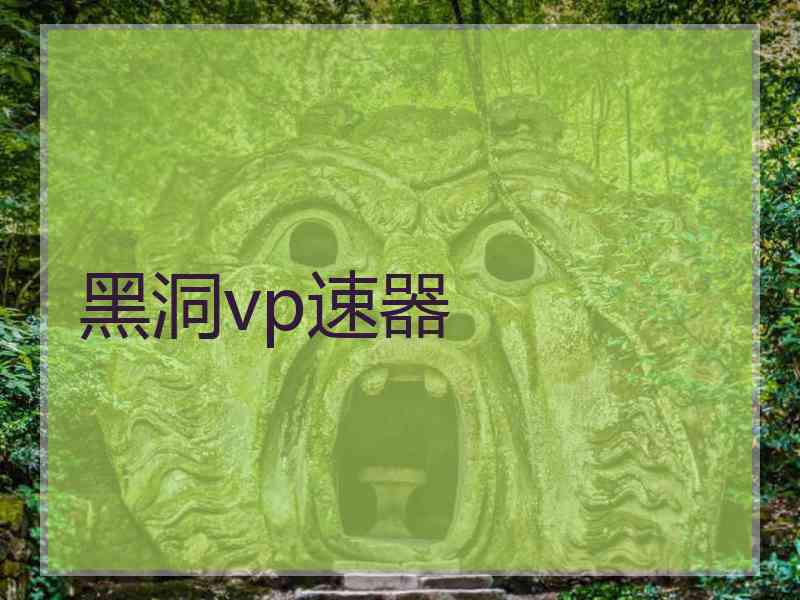 黑洞vp速器