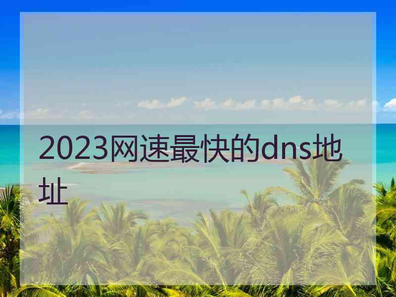 2023网速最快的dns地址